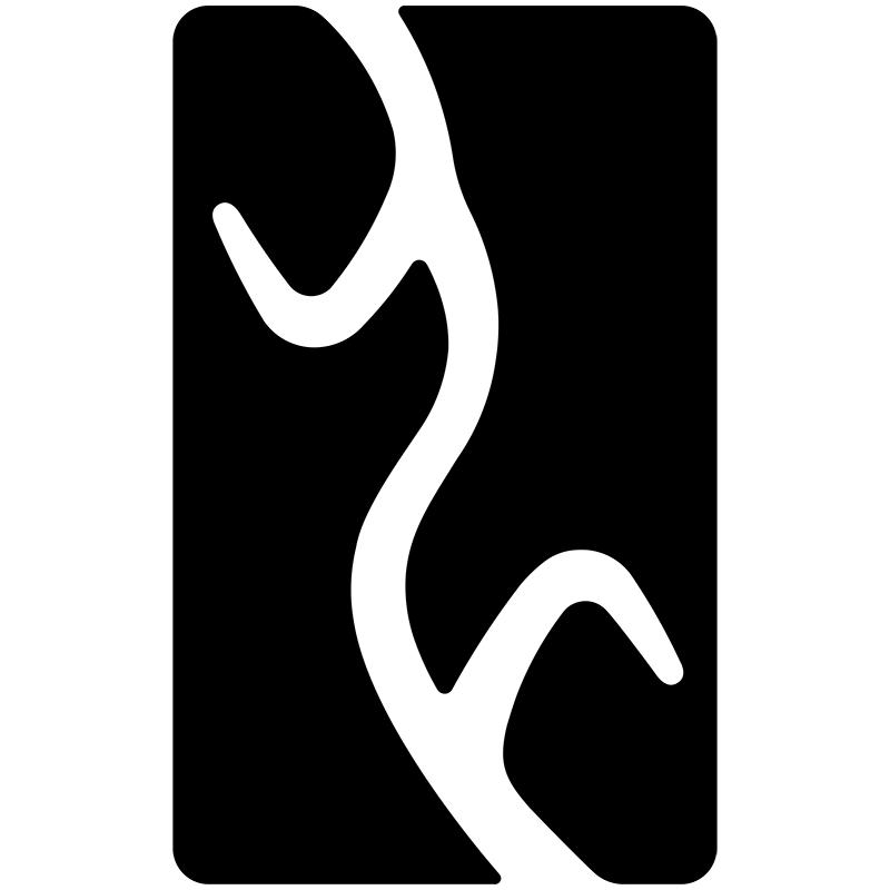 Yangwang logo