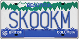 License plate