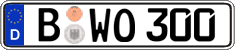 License plate