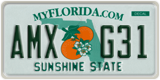 License plate
